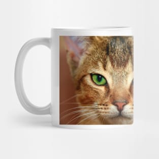 Cute Cat Close-up Photography Mug